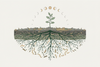 From Bio-Dynamic Farming to Organic Haircare: The My.Organics Way