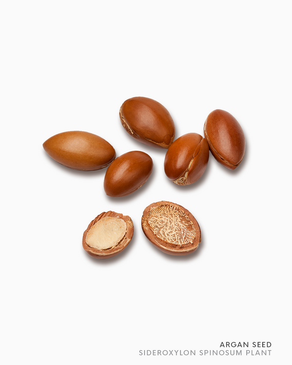 CONDITIONERS / MASKS